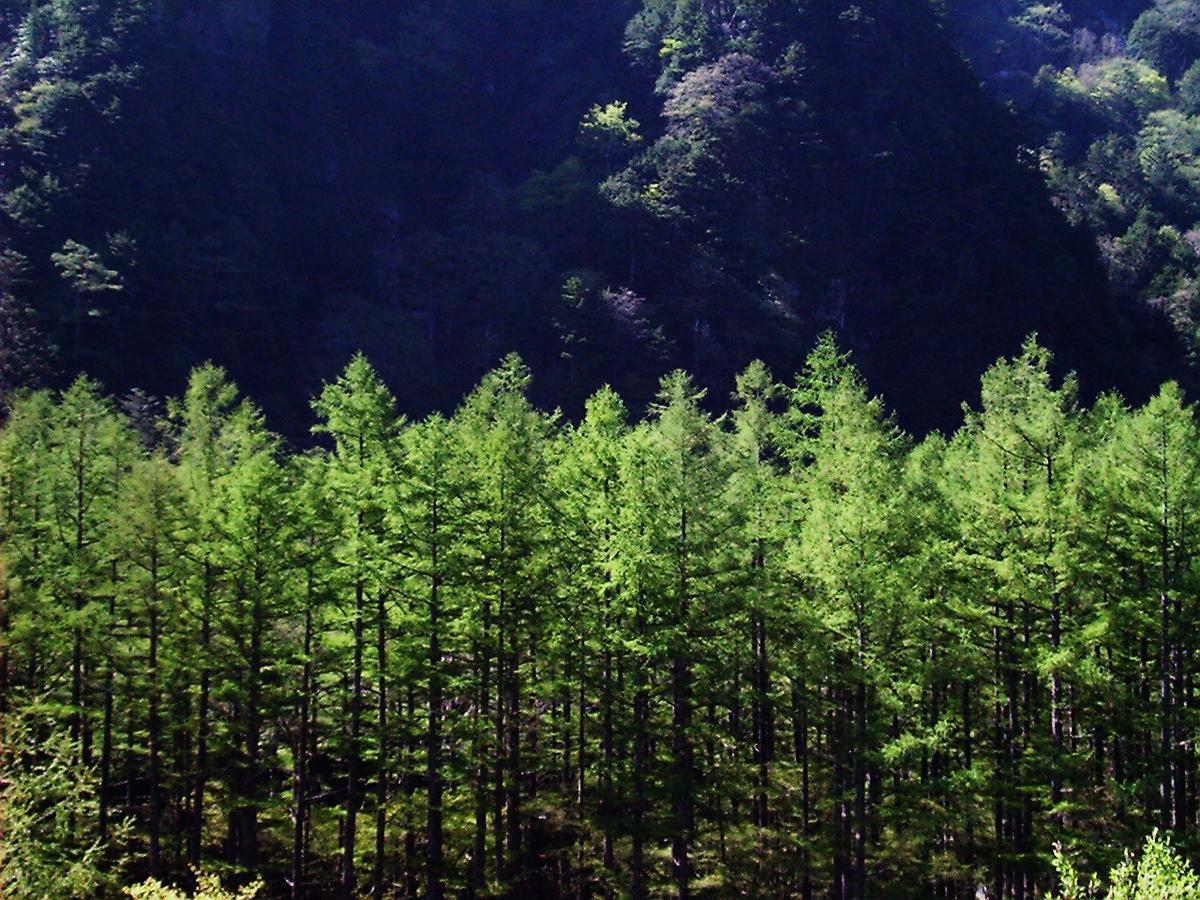 Kamikochi Nishi-Itoya Mountain Lodge Matsumoto Buitenkant foto